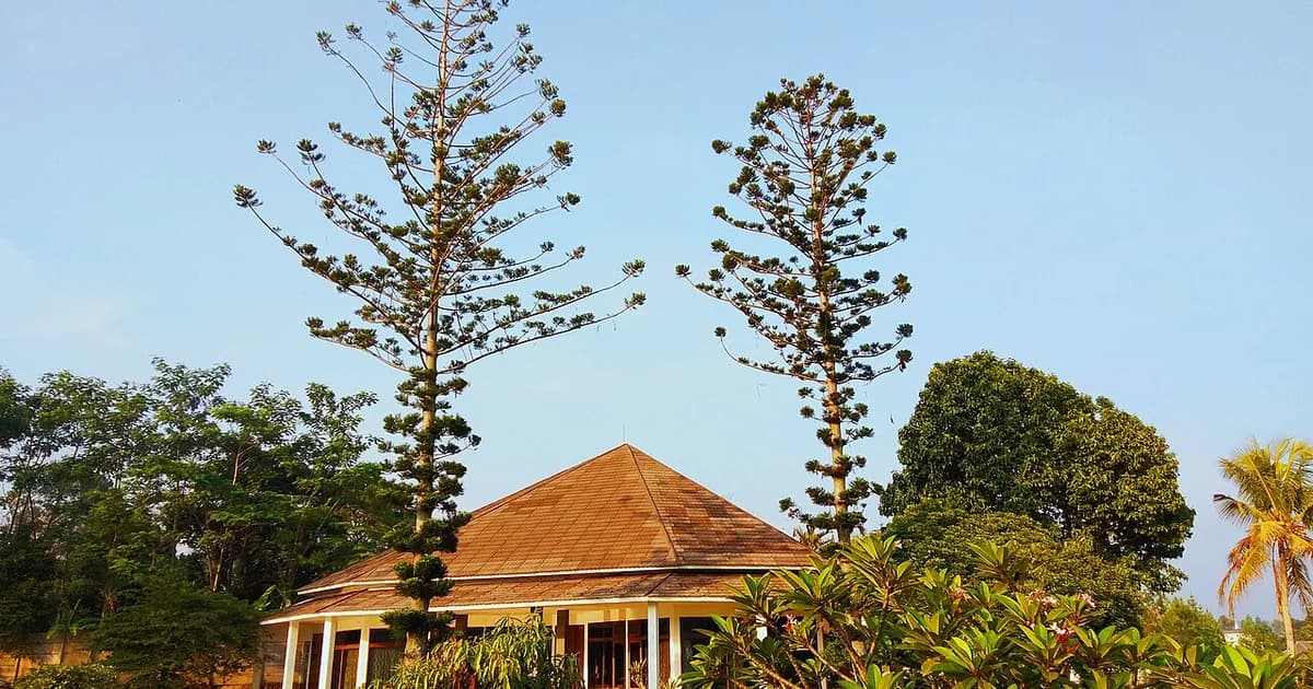 Foto ilustrasi kawasan perumahan di Indonesia