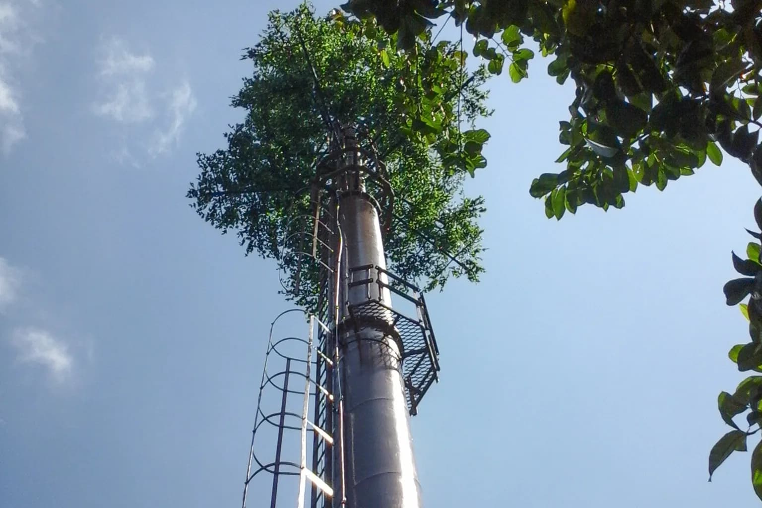 Menara telekomunikasi berbentuk pohon dilihat dari bawah, ilustrasi jaringan seluler, bukan lokasi proyek Inproland